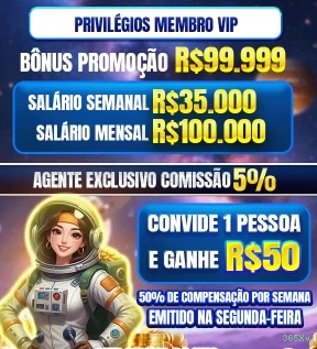 Termos Financeiros 365Xv